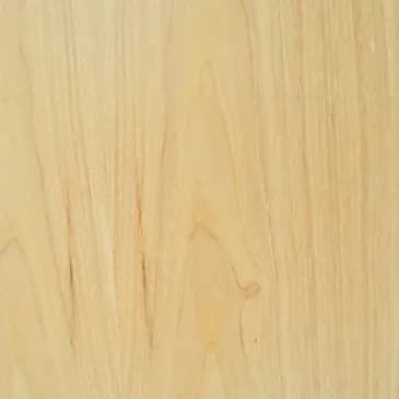 Poplar